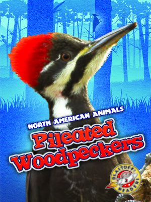 cover image of Pileated Woodpeckers